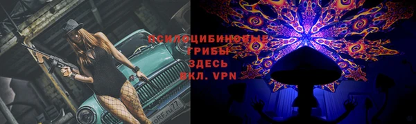 a pvp Белокуриха