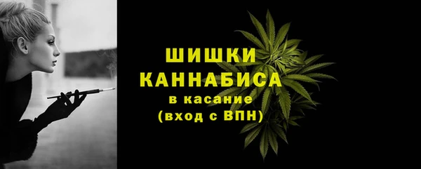 a pvp Рославль