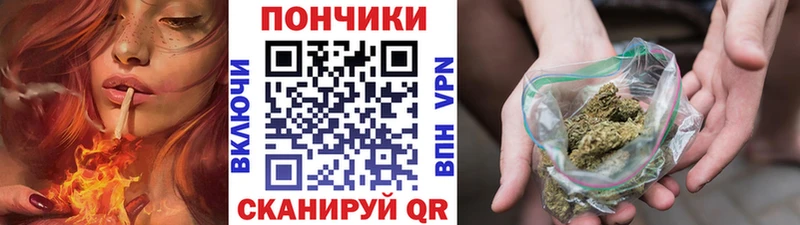 Бошки Шишки SATIVA & INDICA гидра как зайти Северская где купить наркотик
